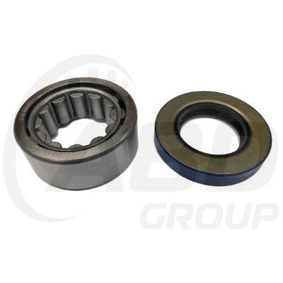 Wheel Bearing Kit Wheel Bearing Kit