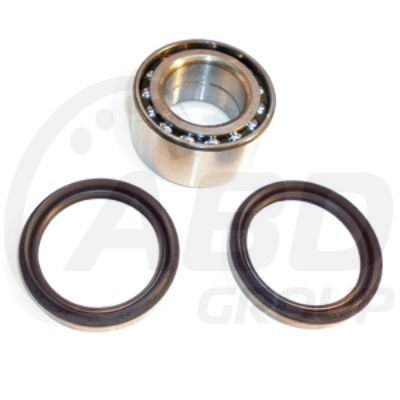 Wheel Bearing Kit  (4WD)