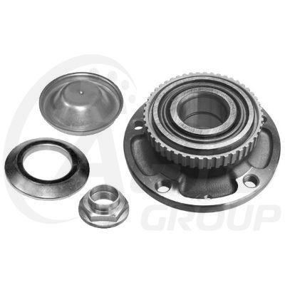 Wheel Bearing Hub (ABS)
