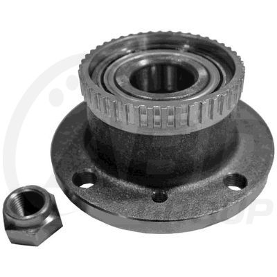 Wheel Bearing Hub (ABS)