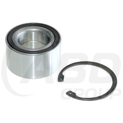 Wheel Bearing Kit (ABS)