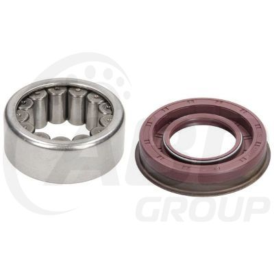 Wheel Bearing Kit Wheel Bearing Kit