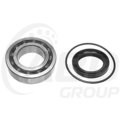 Wheel Bearing Kit Wheel Bearing Kit