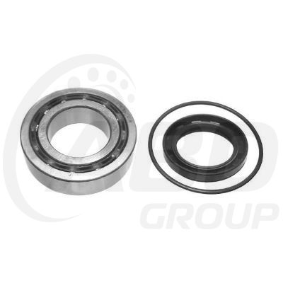 Wheel Bearing Kit Wheel Bearing Kit