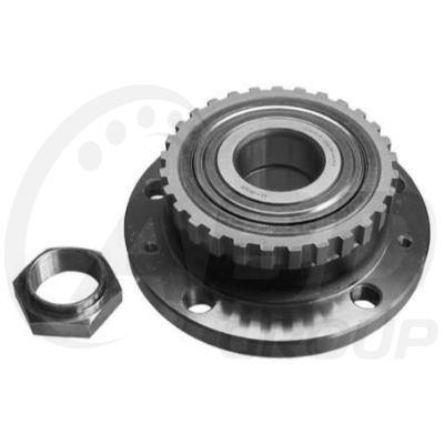 Wheel Bearing Hub (ABS) Wheel Bearing Hub (ABS)