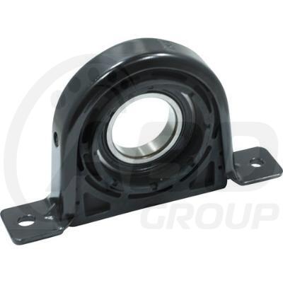 Center Support Bearing