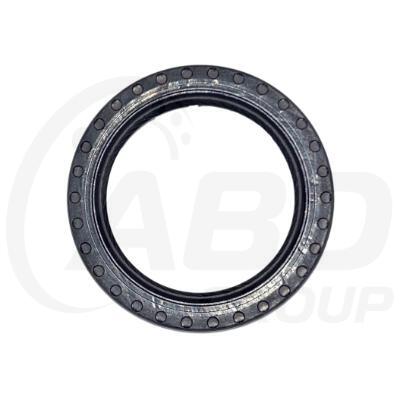 Oil Seal