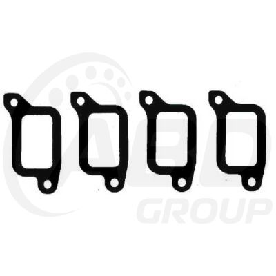 Intake Gasket