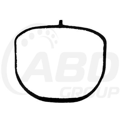 Intake Gasket