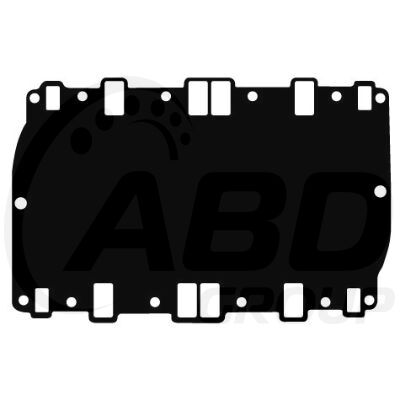 Intake Gasket