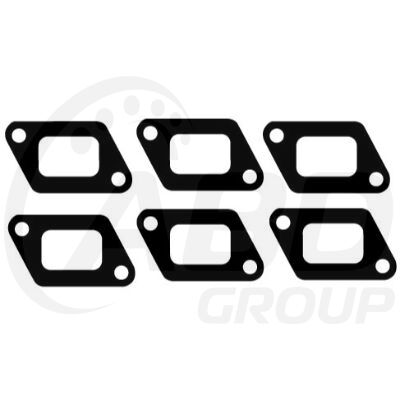 Exhaust Gasket