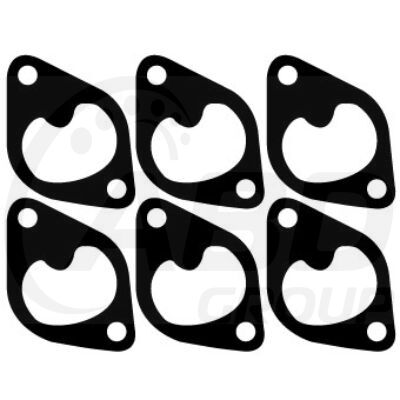 Intake Gasket