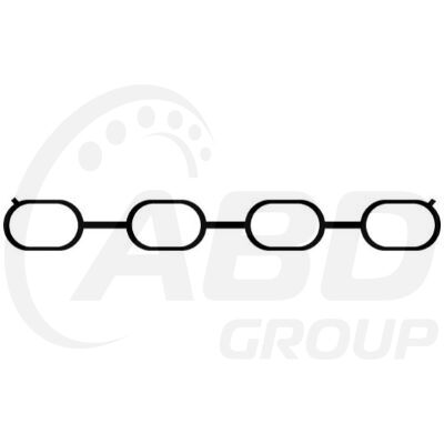 Intake Gasket