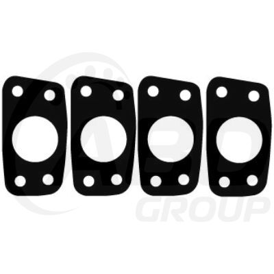 Exhaust Gasket  Set