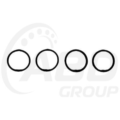 Intake Gasket