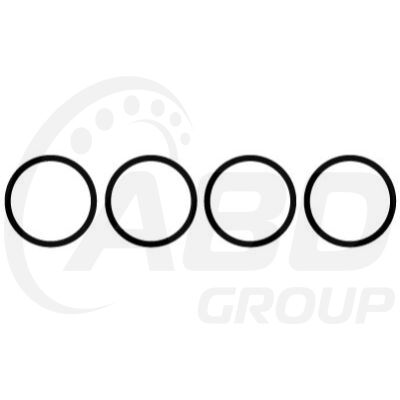 Intake Gasket Set