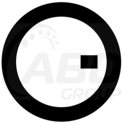 Flange Gasket