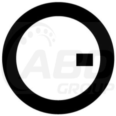 Flange Gasket