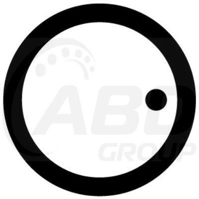 Flange Gasket