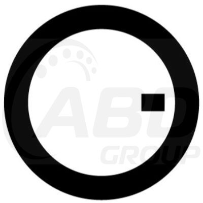 Flange Gasket