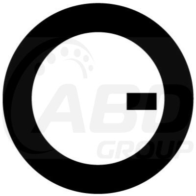 Flange Gasket