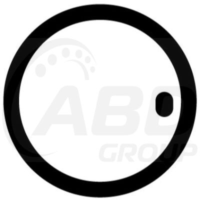 Flange Gasket
