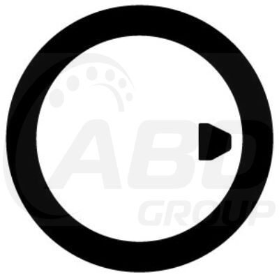 Flange Gasket