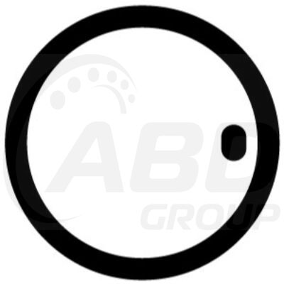 Flange Gasket