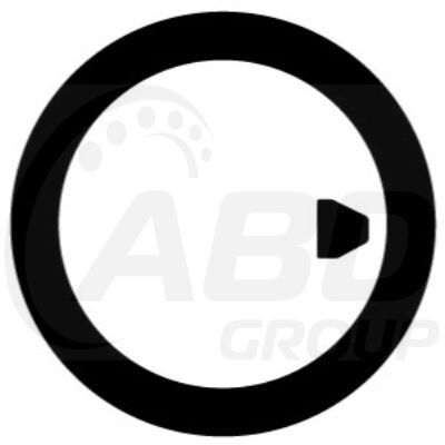 Flange Gasket