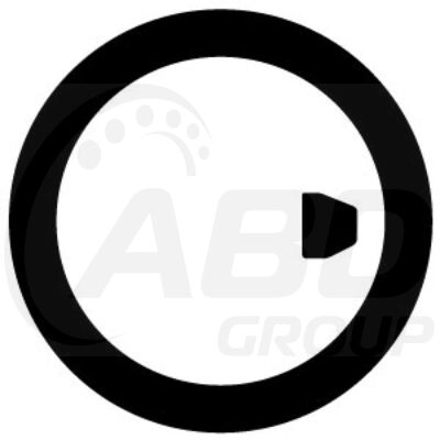 Flange Gasket