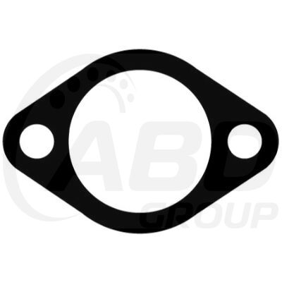 Flange Gasket