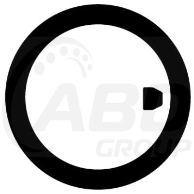 Flange Gasket