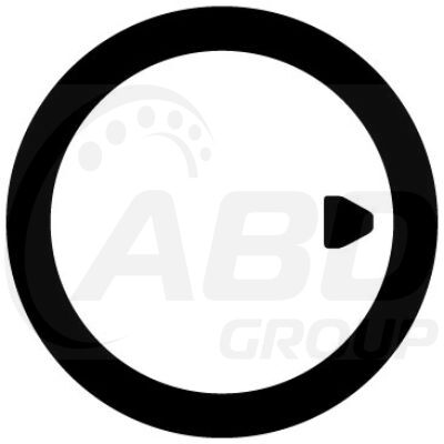 Flange Gasket