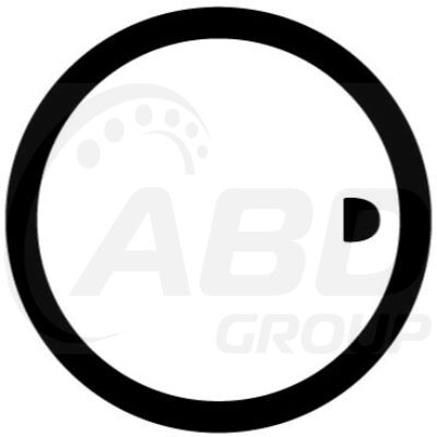 Flange Gasket