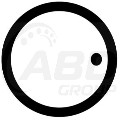 Flange Gasket