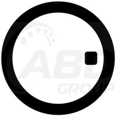 Flange Gasket