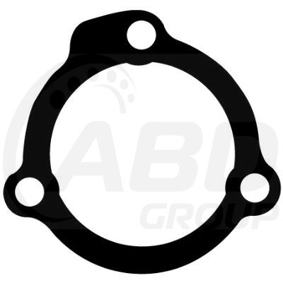 Flange Gasket