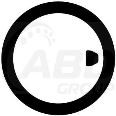 Flange Gasket