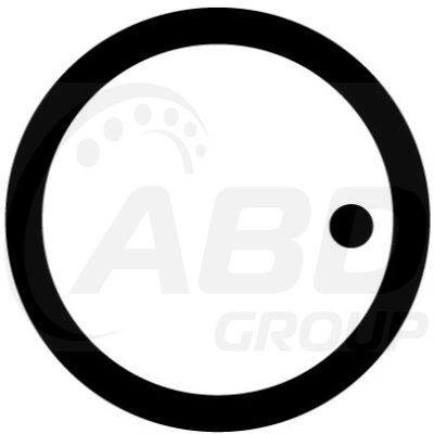 Flange Gasket