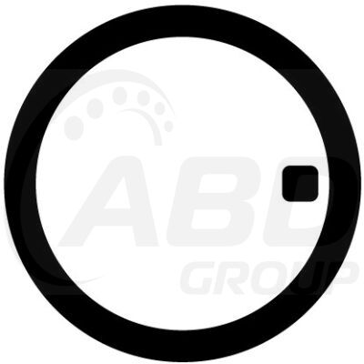 Flange Gasket