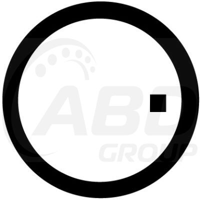 Flange Gasket