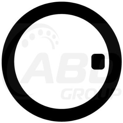 Flange Gasket