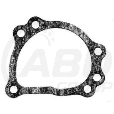 Water Pump Gasket Water Pump Gasket