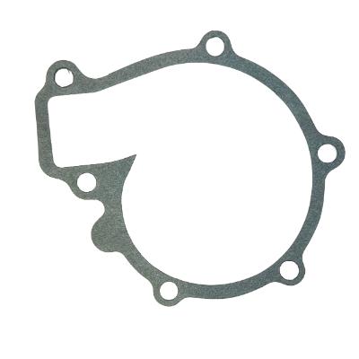 Water Pump Gasket Water Pump Gasket