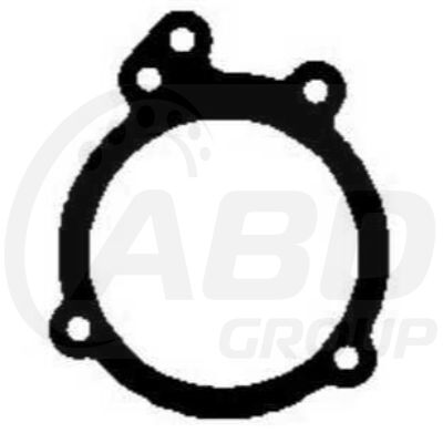Water Pump Gasket