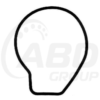 Water Pump Gasket Water Pump Gasket