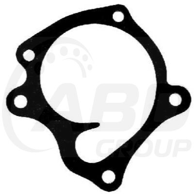 Water Pump Gasket Water Pump Gasket