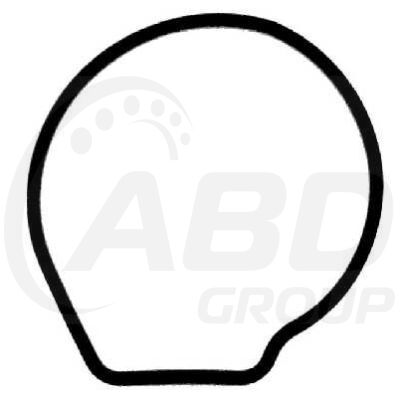 Water Pump Gasket Water Pump Gasket