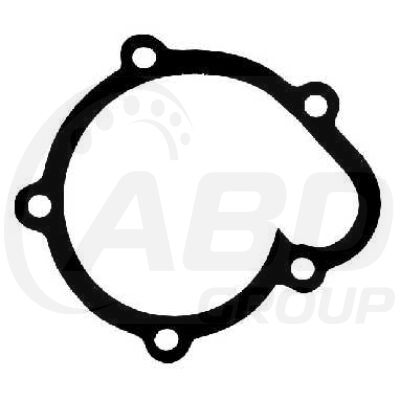 Water Pump Gasket Water Pump Gasket