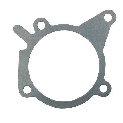 Water Pump Gasket